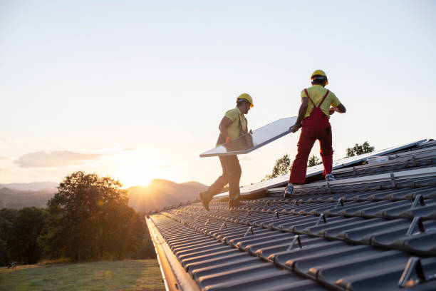 Best Roof Moss and Algae Removal  in Rogers City, MI